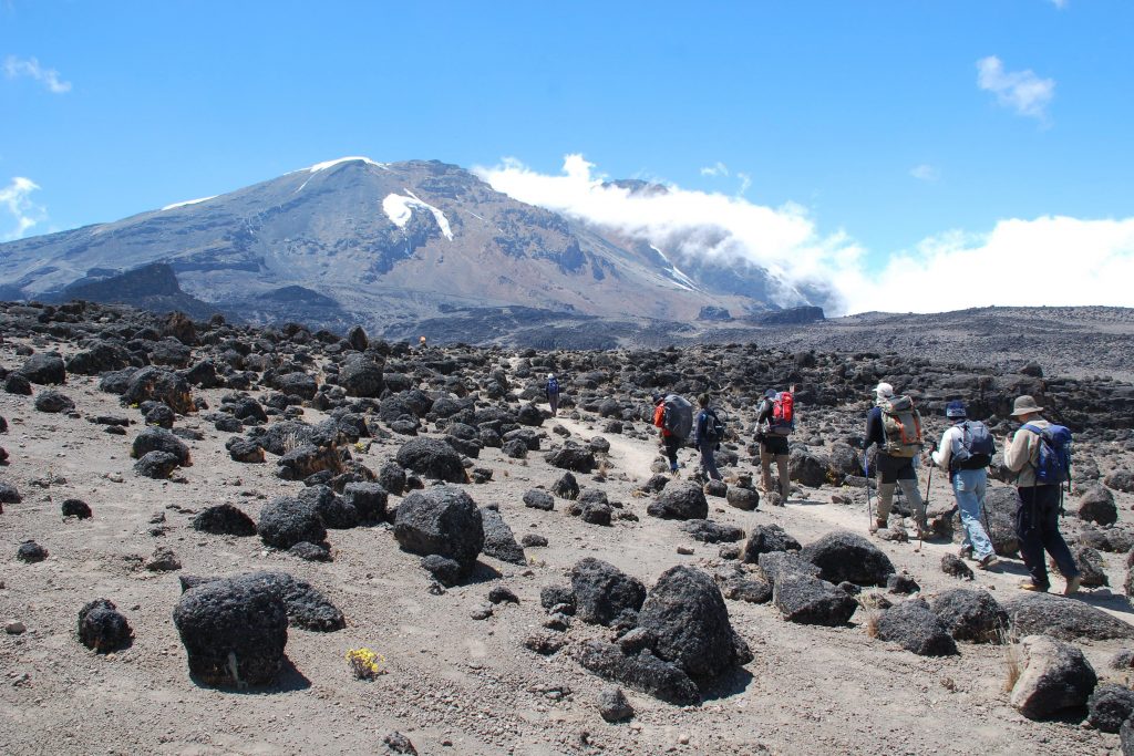 Hike Horombo Hut to Kibo Hut