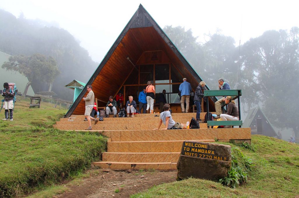 Hike Mandara Hut to Horombo Hut