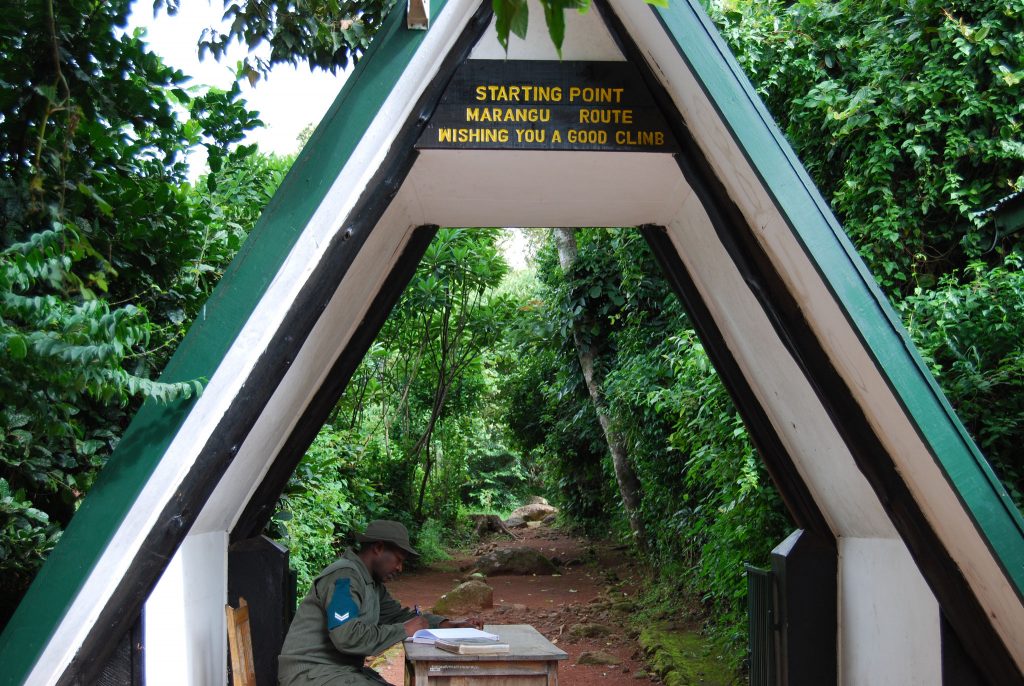 Kilimanjaro Day Hike to Mandara Hut