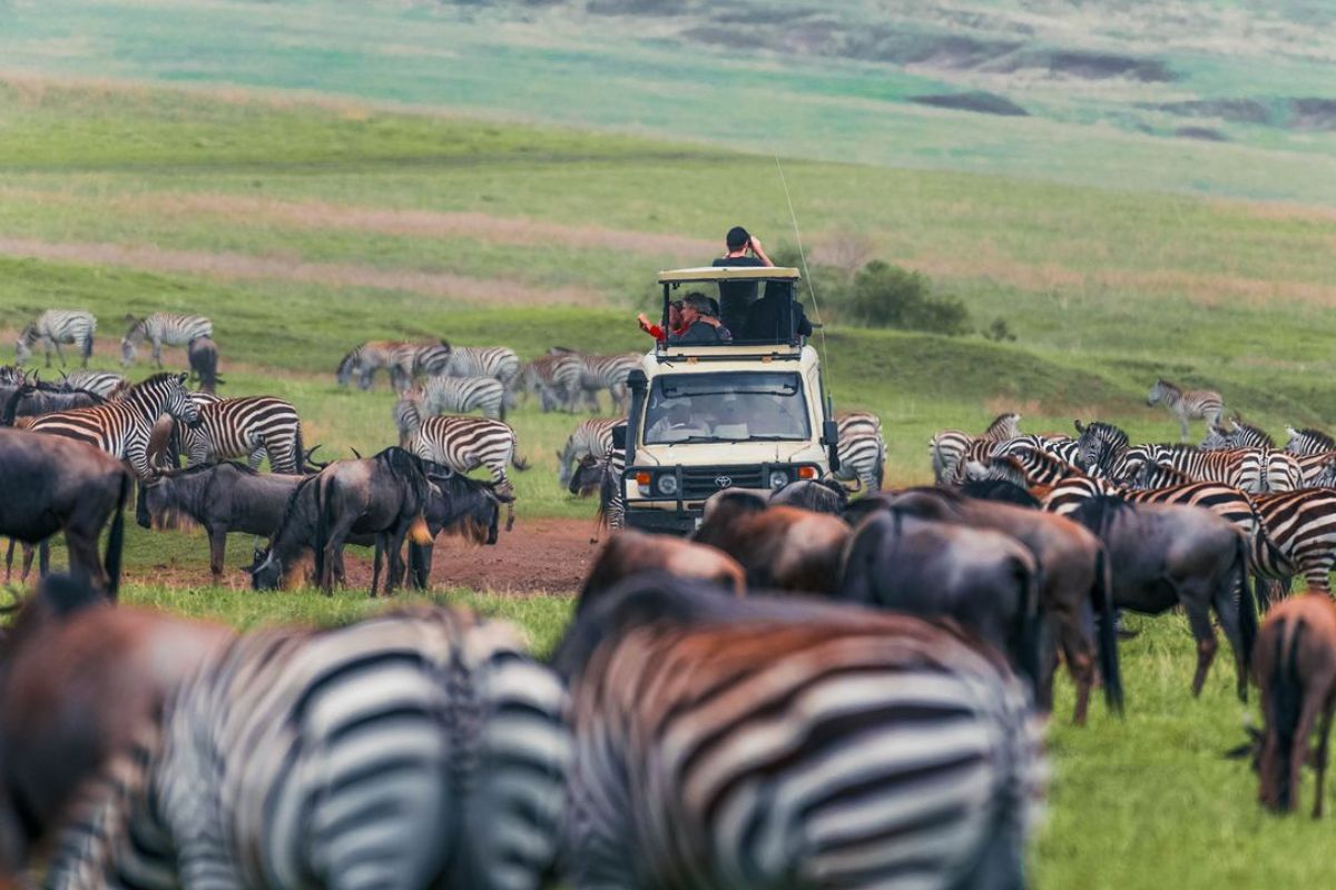 Serengeti National Park Safaris | Chimera African Safaris