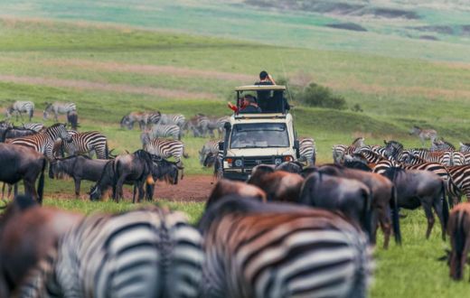 Travel to Tanzania | Chimera African Safari