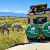 Tanzania safari FAQ